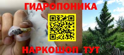 кокс Моздок
